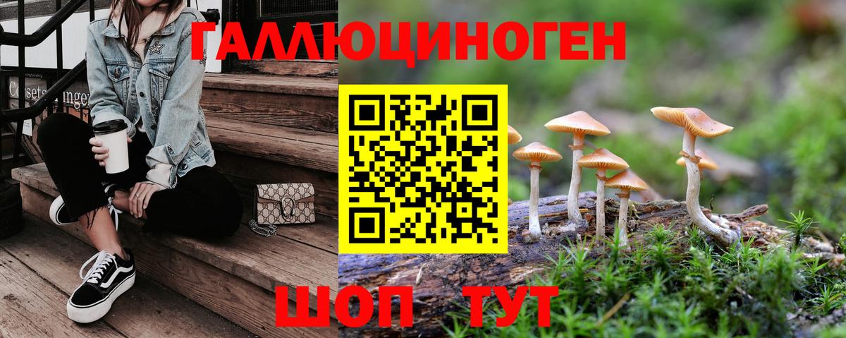 Галлюциногенные грибы Cubensis Торжок